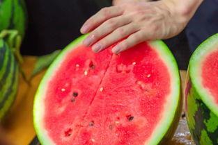 晋江吃瓜海南一直想改名