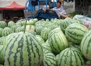 幕幕吃瓜,揭秘娱乐圈幕后故事