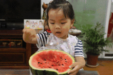 可乐不加冰吃瓜,可乐加瓜新潮流