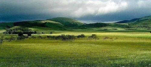 黄寺草原吃瓜,畅享草原吃瓜新体验